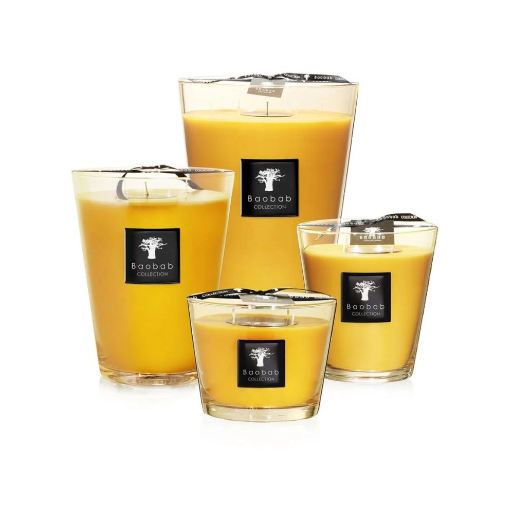 All Seasons Zanzibar Spices Candle - Max 16