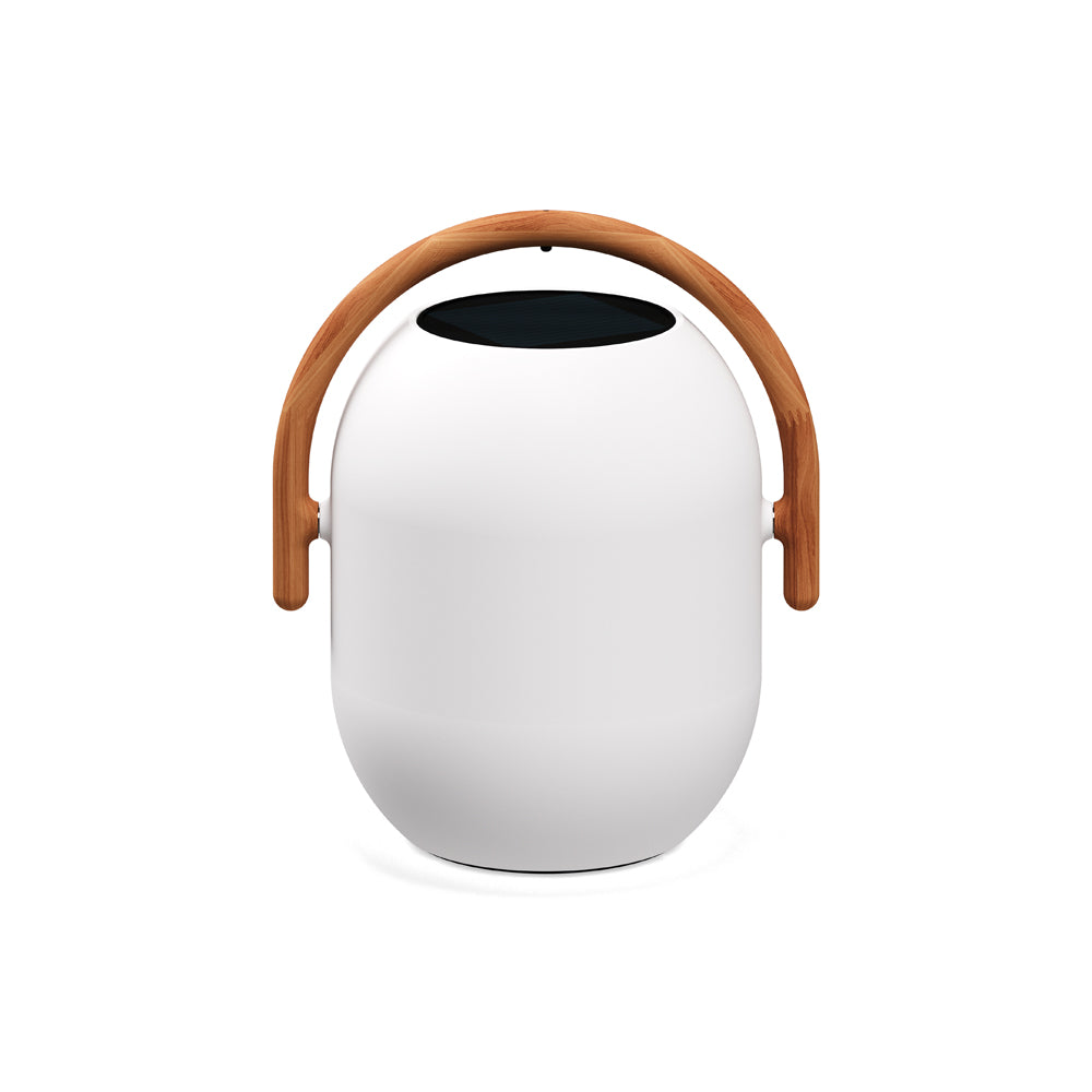 Gloster Cocoon Lamp